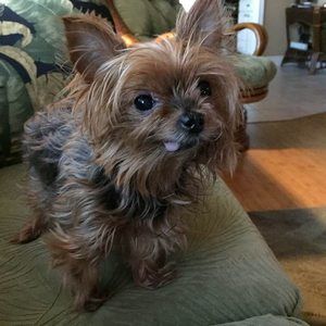 Meet your Posher, Karon